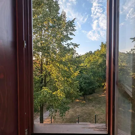 Forest Sarajevo Osenjace