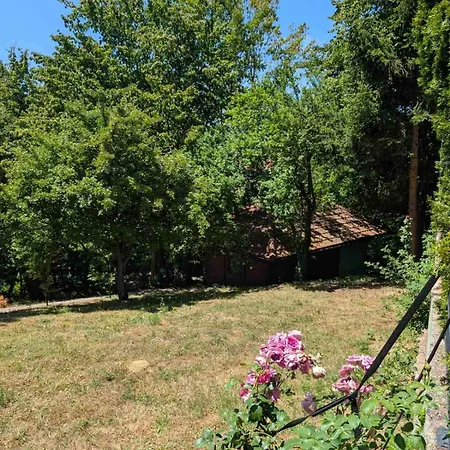빌라 Forest Sarajevo *