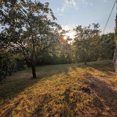 Forest Sarajevo *